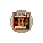 رله ۵ فیش ۸۰ آمپر(گرد) همه کاره ۲پلاتین شیشه ای